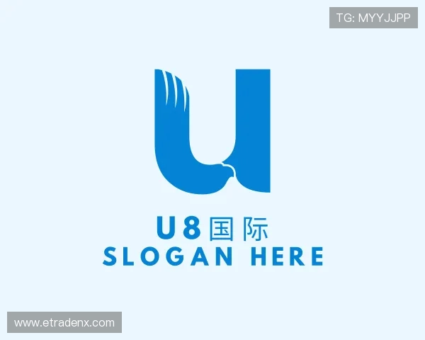 解读u8国际